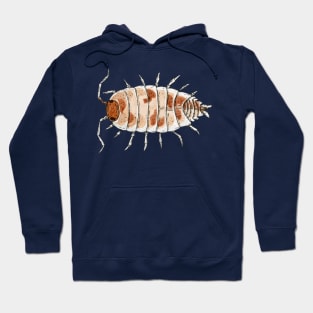 Porcellionides pruinosus "Orange Cream" Isopod Hoodie